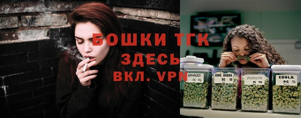 молекула духа Белоозёрский