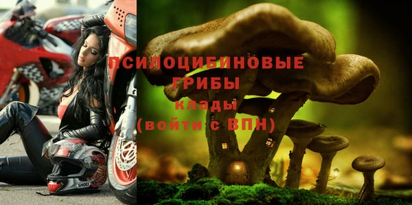 герыч Белокуриха