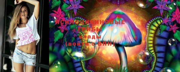 молекула духа Белоозёрский