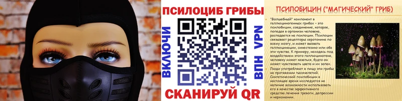 Псилоцибиновые грибы MAGIC MUSHROOMS  магазин продажи наркотиков  Белёв 